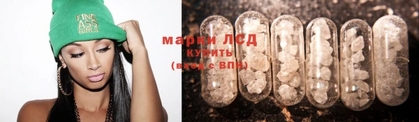трава Верея
