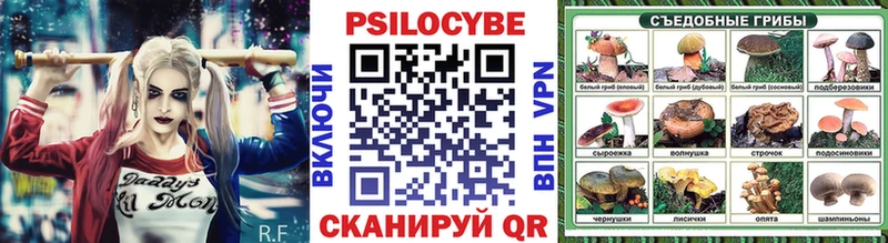 Галлюциногенные грибы Psilocybine cubensis  Тюмень 
